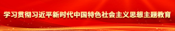 鸡操逼学习贯彻习近平新时代中国特色社会主义思想主题教育